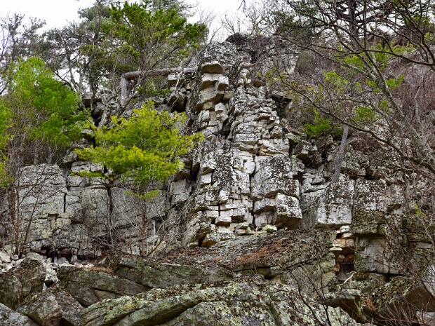 Duncan Knob Trail