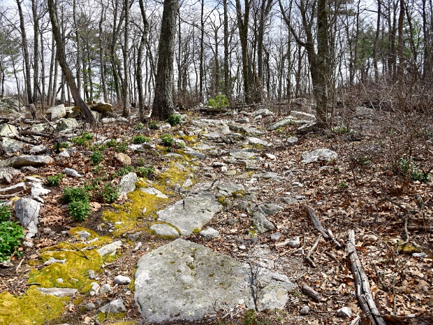 Scothorn Gap Trail