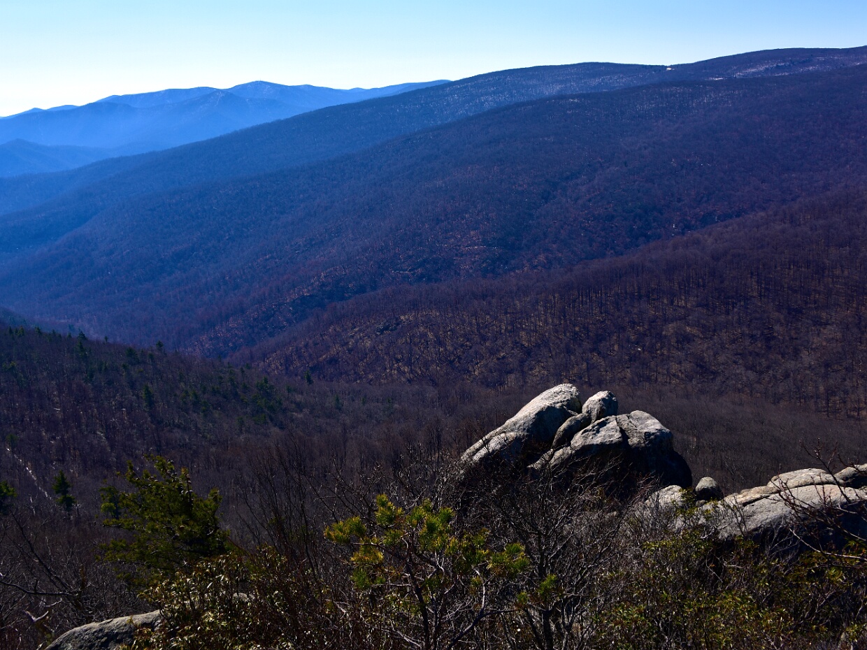 Robertson Mountain Trail